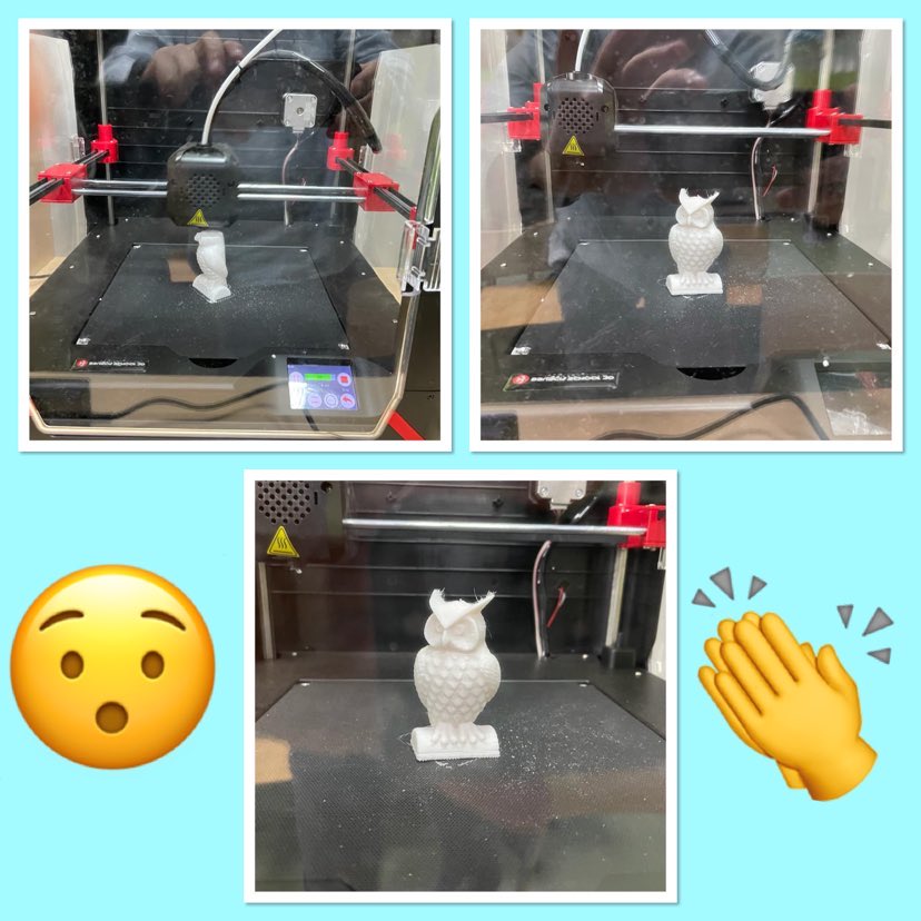 309370689 661266041942011 4665831945629034112 n